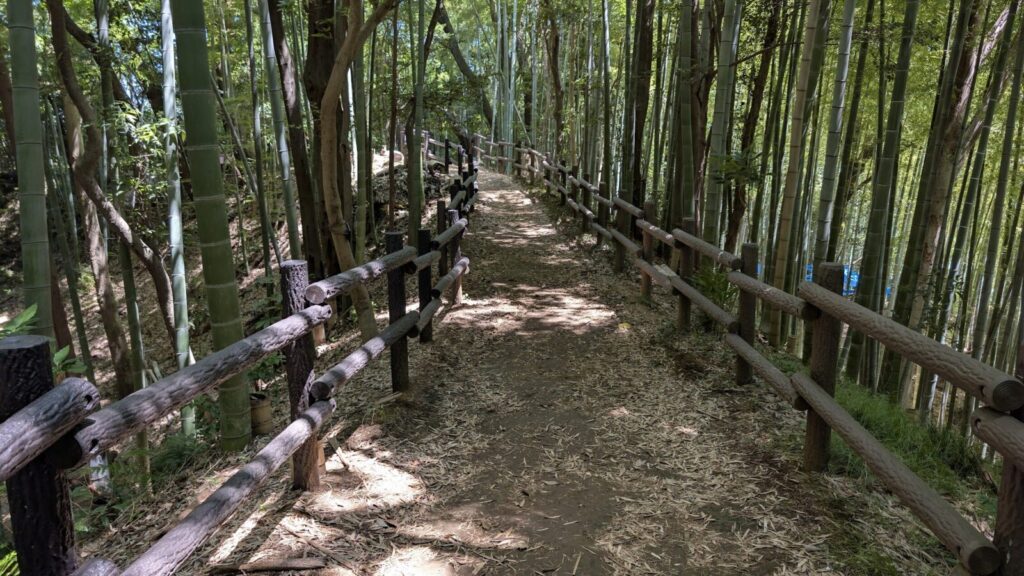 小机城の竹林